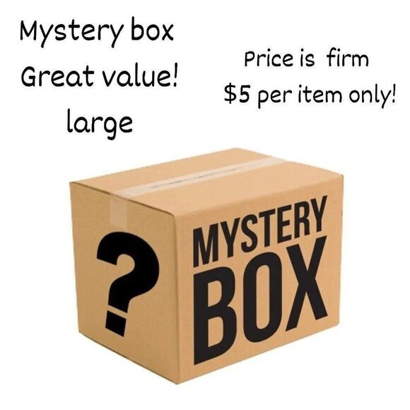 mystery box size large ( 6pc  ) price firm $5 per item sweater, bl… - Picture 1 of 1